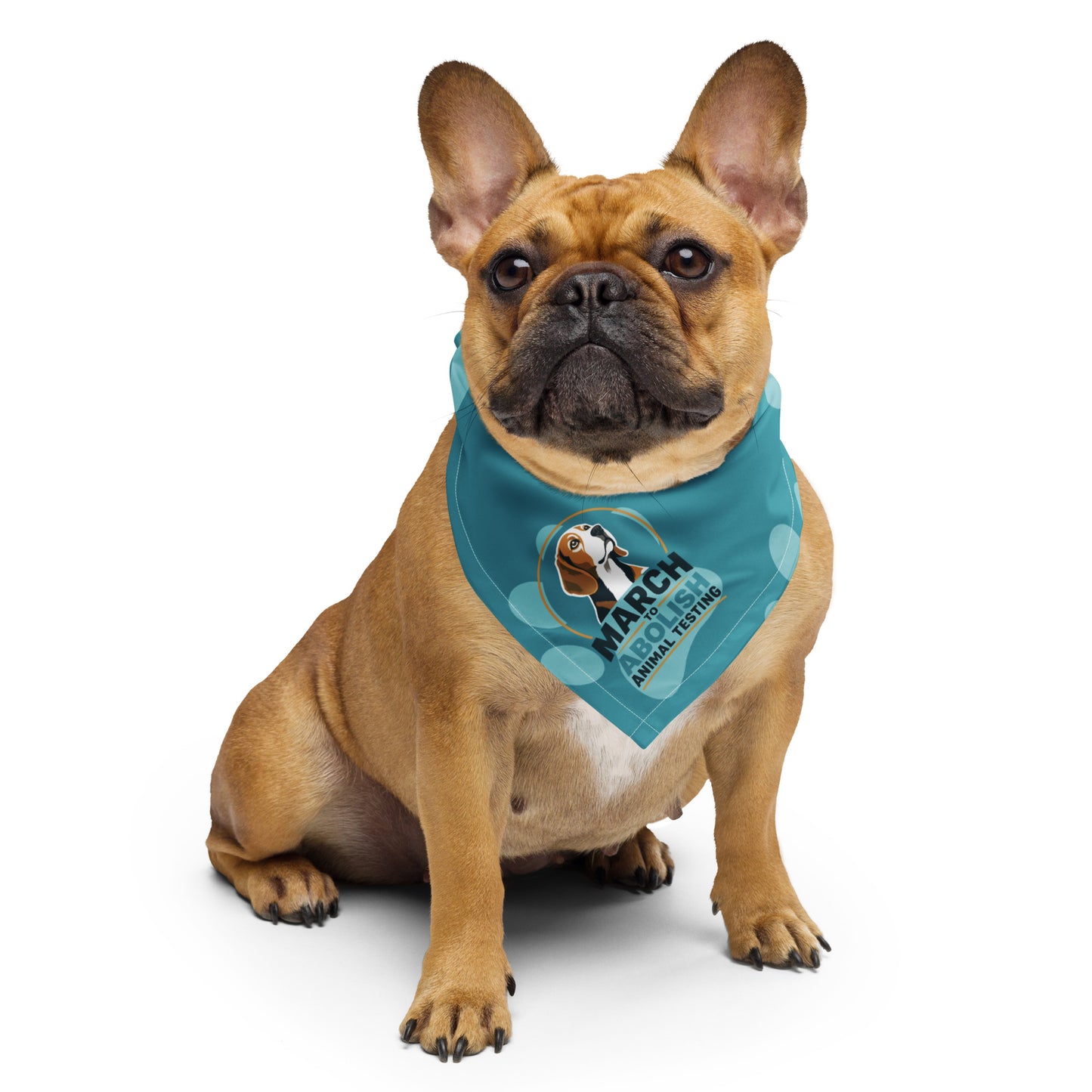 MBR March Bandana
