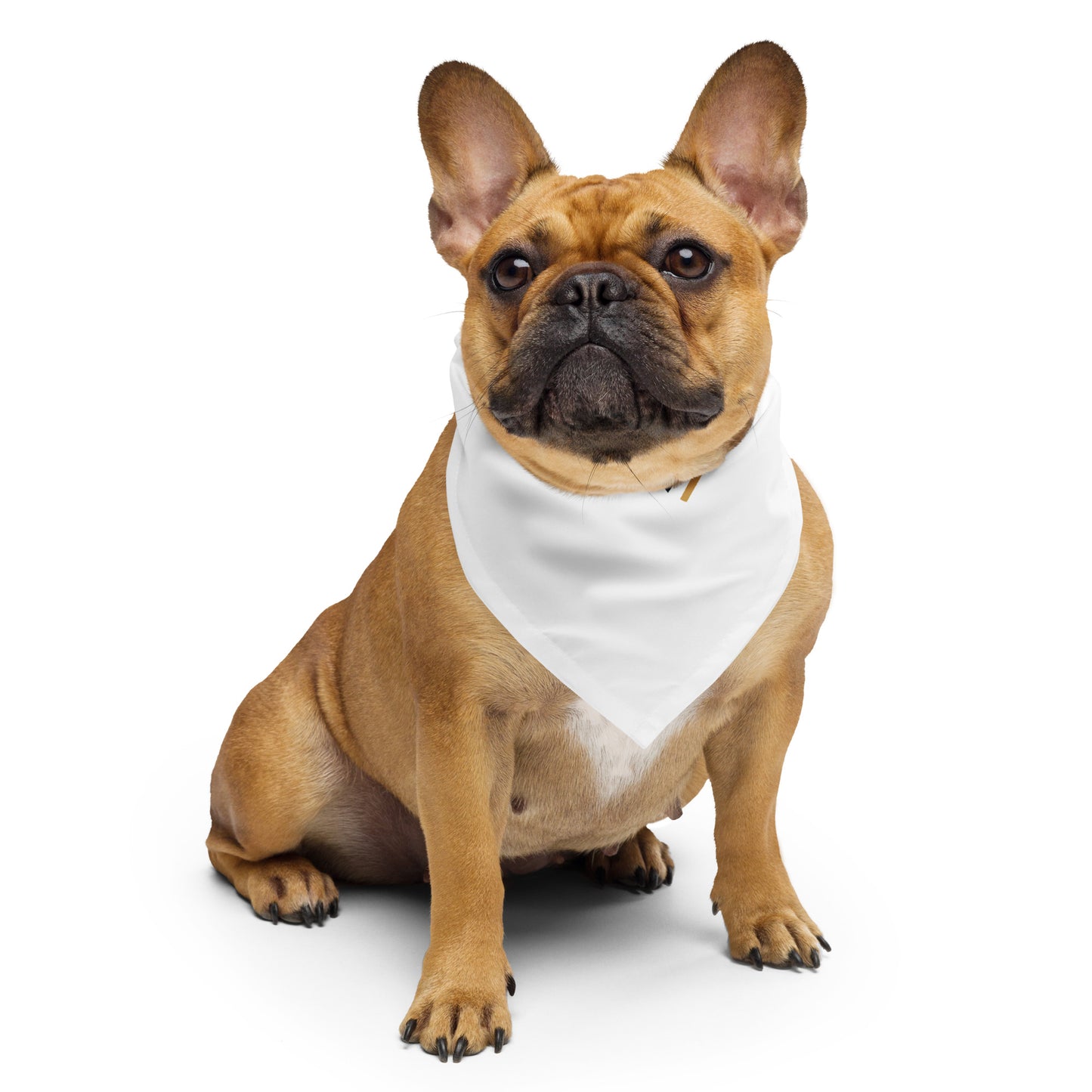 MBR March Bandana