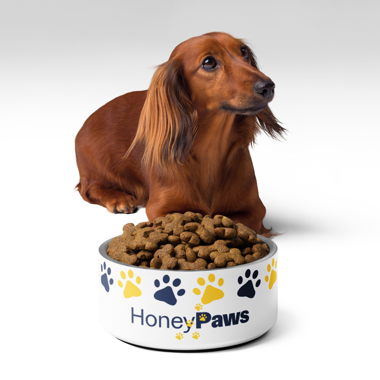 Honey Paws Pet Bowl