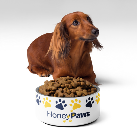 Honey Paws Pet Bowl
